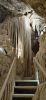 PICTURES/Mitchell Caverns/t_20260116_130733.jpg